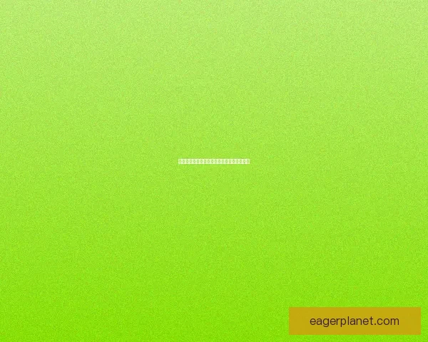 雷元素爆发技能解析与实战应用技巧全面剖析